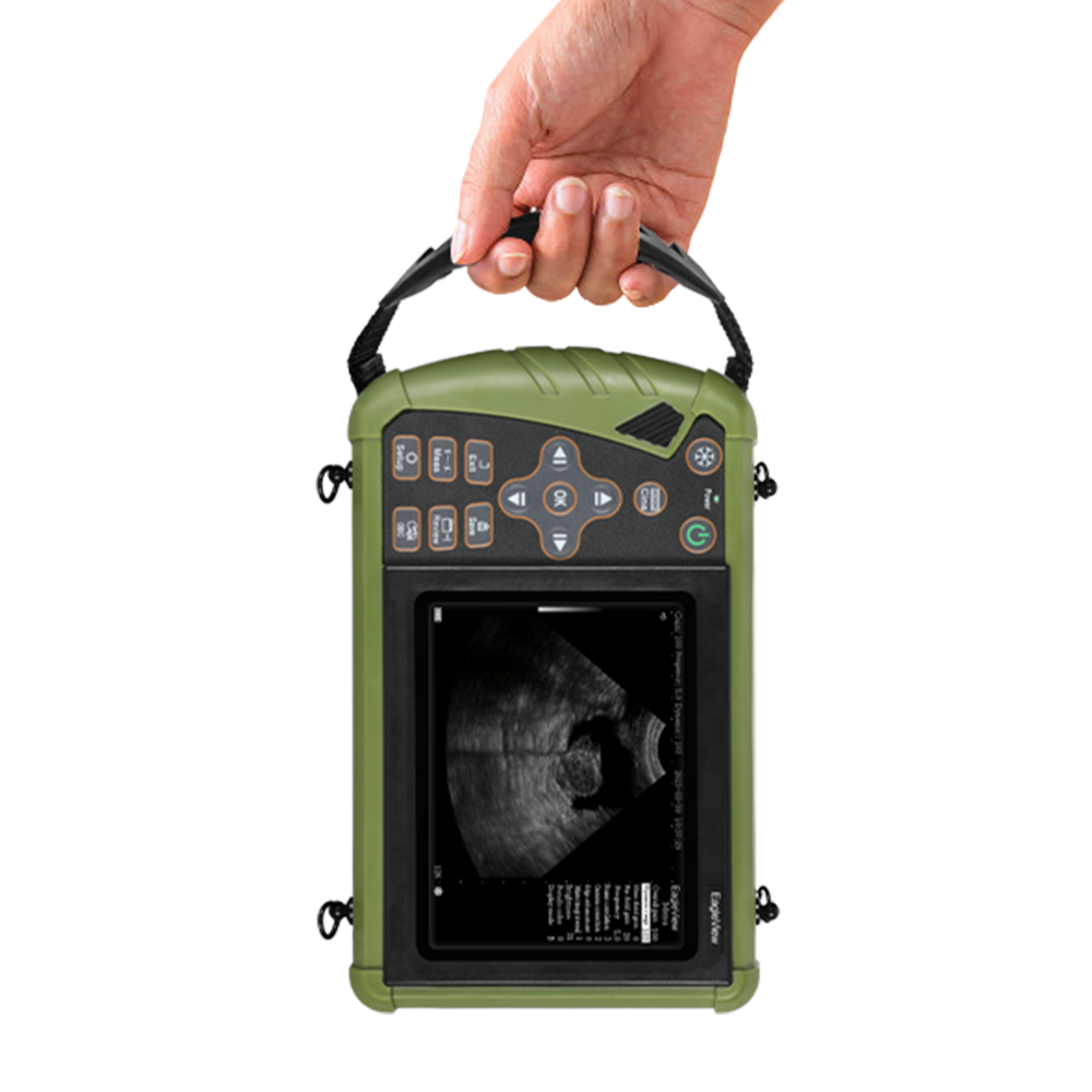 Ultraschallgerät für Schwangerschaft, 3,5 MHz, tierärztliche  B-Ultraschall-Scanner, konvexe Sonde, für Schaf, Hund, Katze und Schweine,  8 Farbtafel, 256 FPS Videoaufnahme, mit Herzfrequenzmessung : :  Gewerbe, Industrie & Wissenschaft