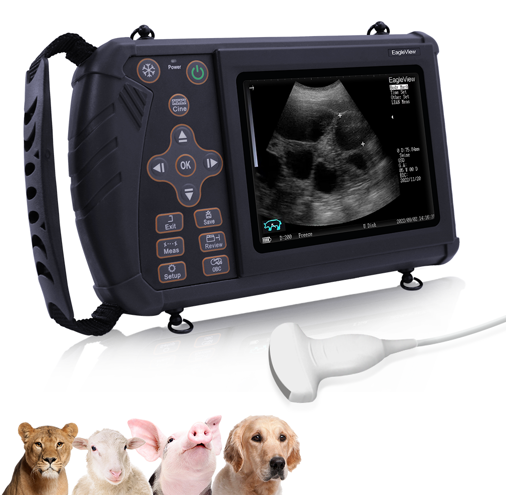 Portable Ultrasound Scanner Machine Veterinary VET + Mechanical Sector  Probe CE