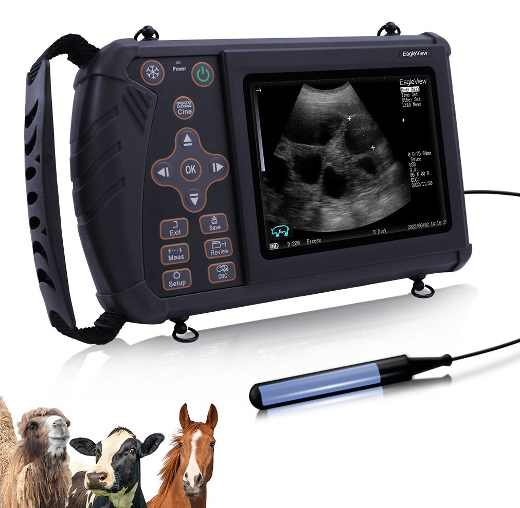 Sistema ad ultrasuoni veterinario portatile per test di gravidanza