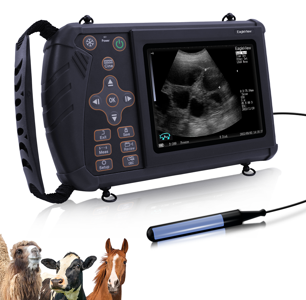 Veterinary Pregnancy Diagnosis Equipment Portable B W 52 OFF veterinary-pregnancy-diagnosis-equipment-portable-b-w-52-off