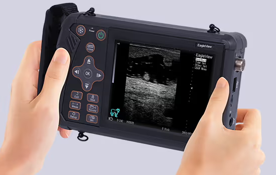 How to Use Portable Veterinary Ultrasound?