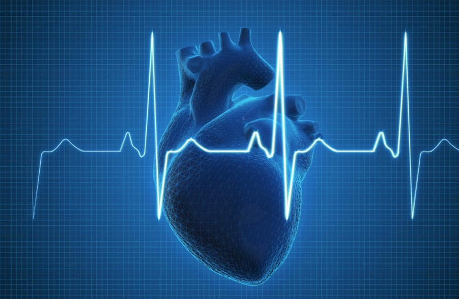 Why Arrhythmia Occurs？Top 5 Things You Should Know About Arrhythmia