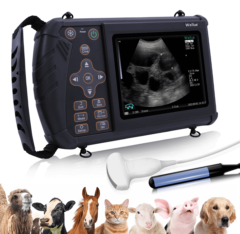 馬、羊、豚、犬、牛の検査に使用できるポータブル獣医用超音波装置