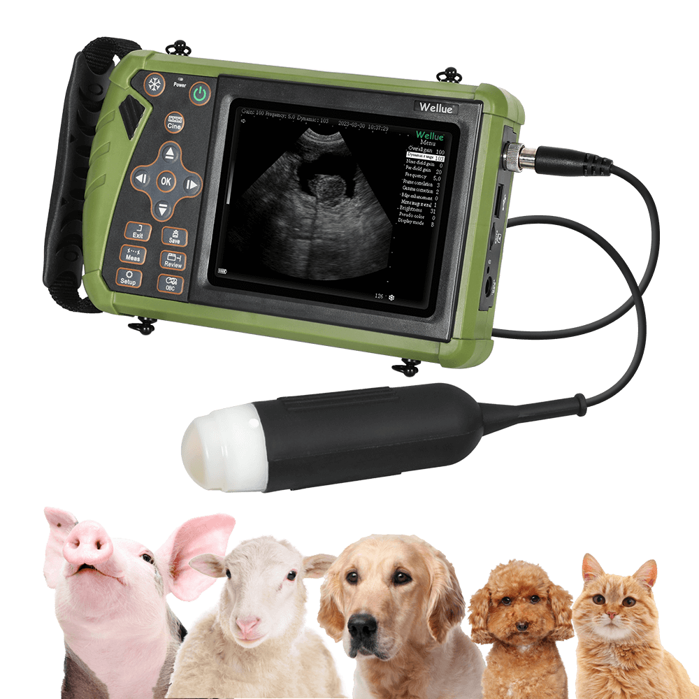 Animal Scan Computer Portable Veterinary Ultrasound Scanner for Dogs, Cats & Mid-sized Farm ...