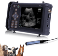 Portable Veterinary Ultrasound