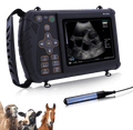 Portable Veterinary Ultrasound