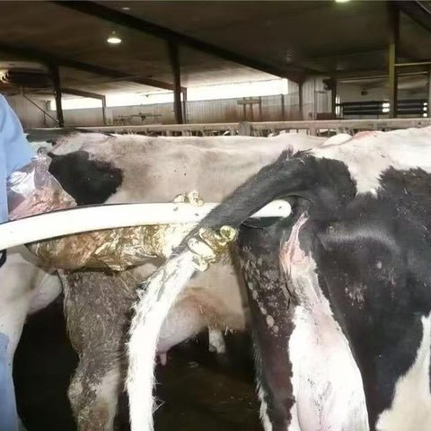 Veterinary Rectal Probe Extender