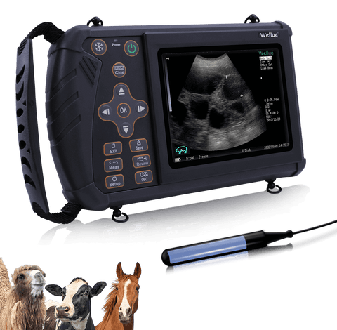 Veterinary Rectal Probe Extender