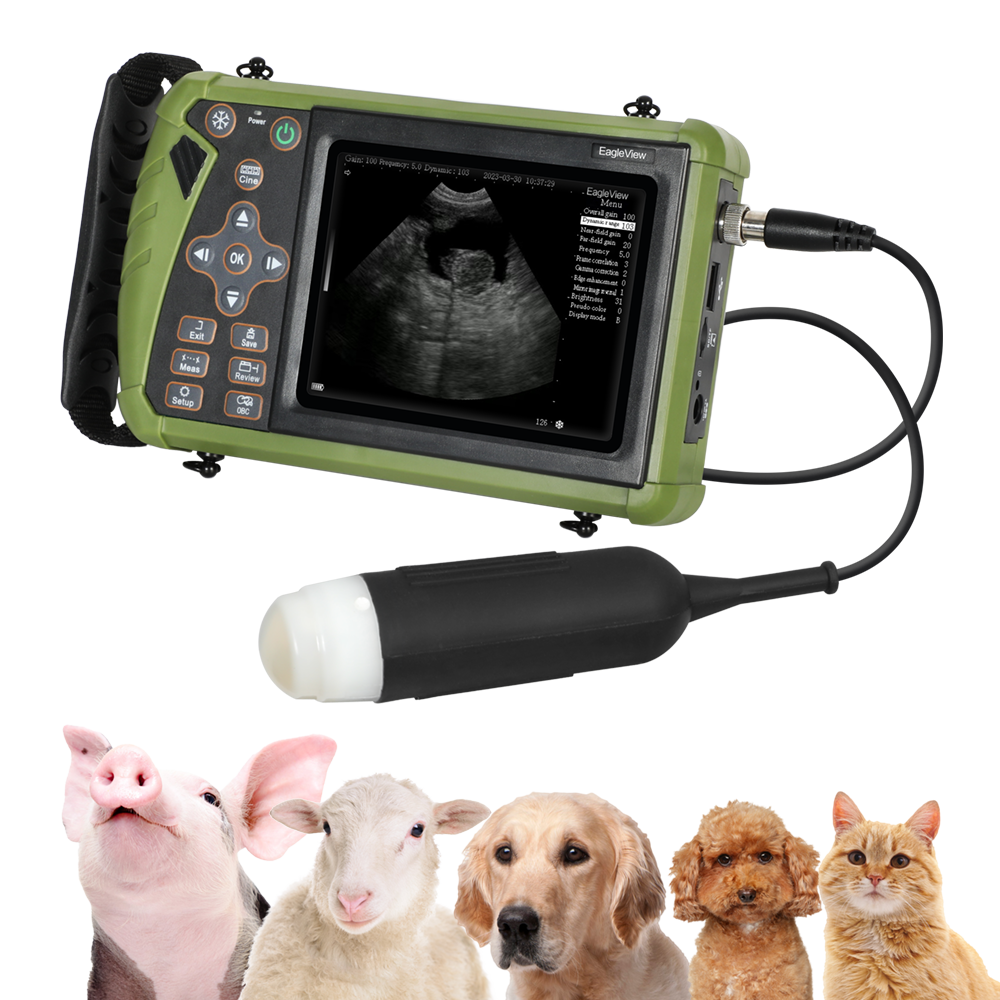 Portable Ultrasound Scanner Veterinary Pregnancy V12 with 3.5 MHz Convex  Probe for Sheep, Dog, Cat and Pig.