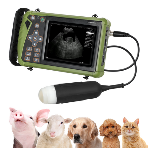 Escáner de ultrasonido portátil Embarazo veterinario V12 con sonda convexa  de 3,5 MHz para ovejas, perros, gatos y cerdos.