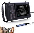 Échographie vétérinaire portable