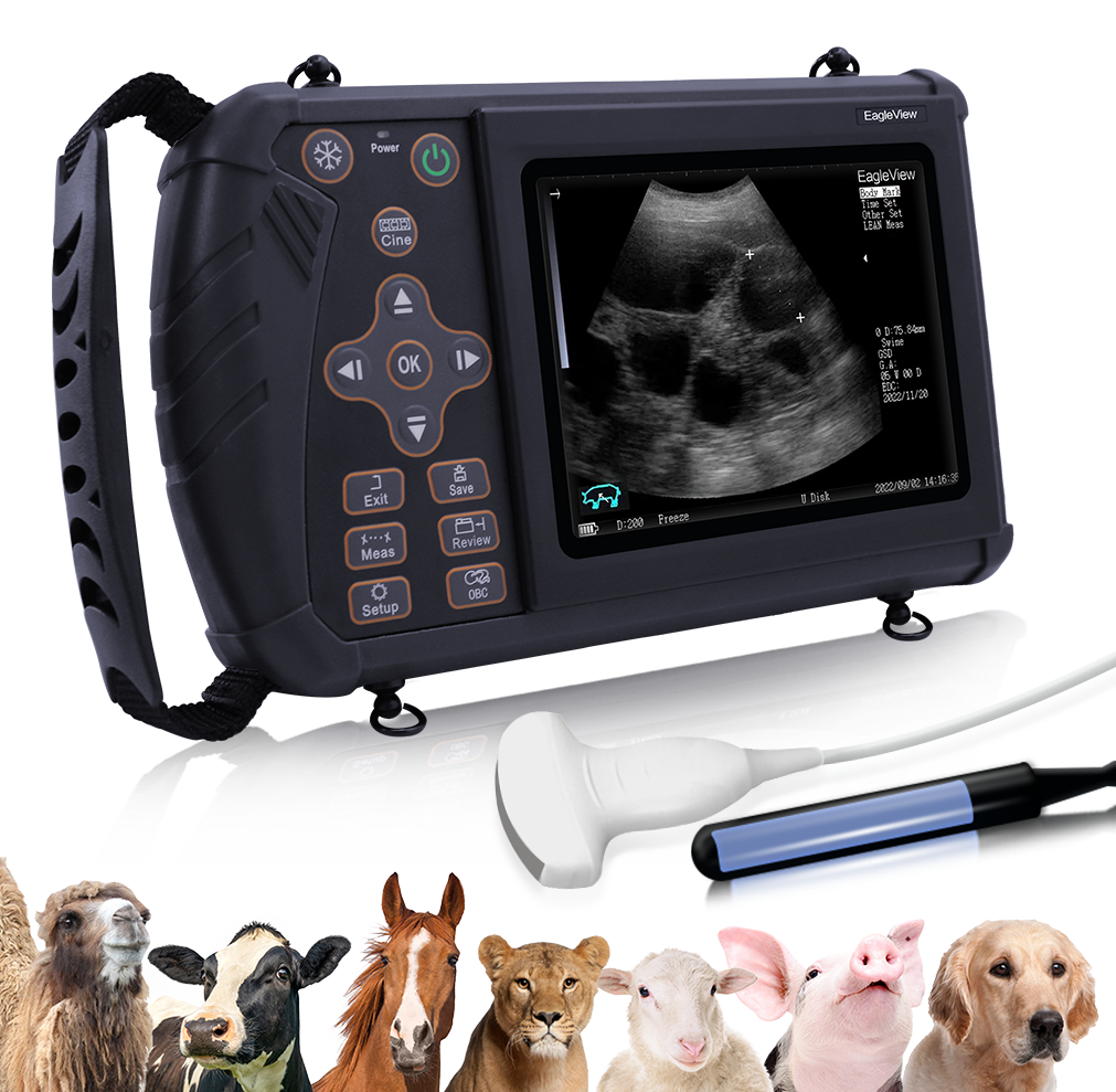 Kit De Scanner À Ultrasons Vétérinaire, Machine De Test De