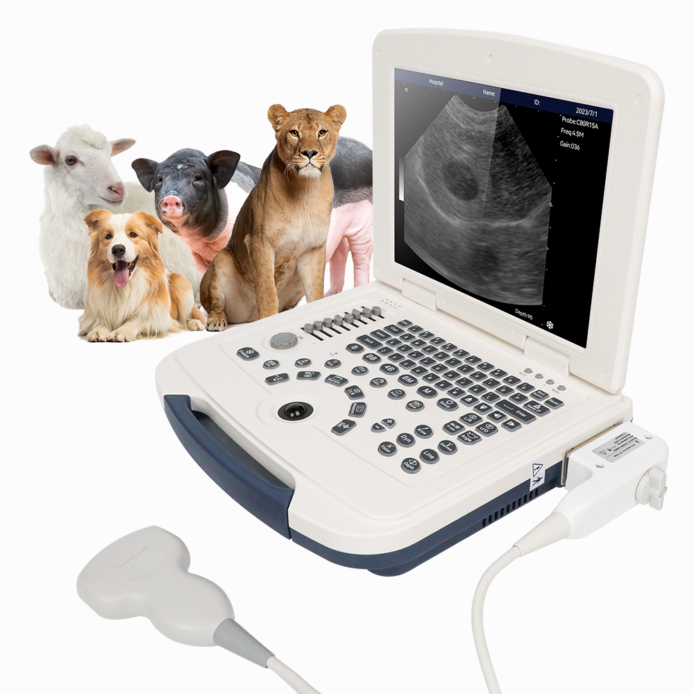 Scanner à ultrasons vétérinaire pour Ordinateur Portable B-Ultra Sound  Scanner pour Cheval/Vache/Mouton (bovins) : : Commerce, Industrie  et Science