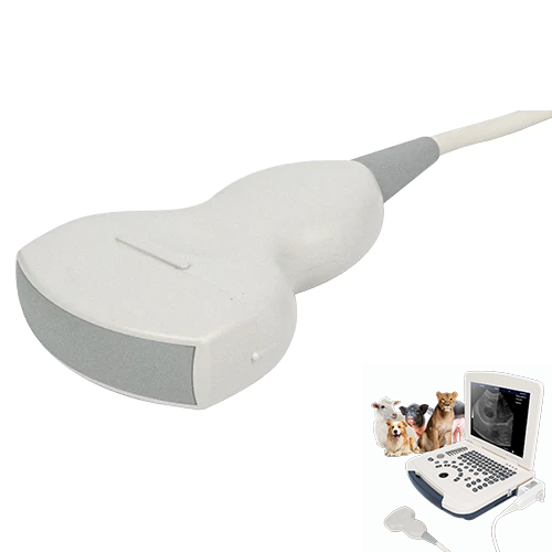 Scanner à ultrasons, Scanner Doppler Couleur vétérinaire Portable de 5,6  Pouces, Scanner à ultrasons B Portable pour Animaux de Poche avec sondes