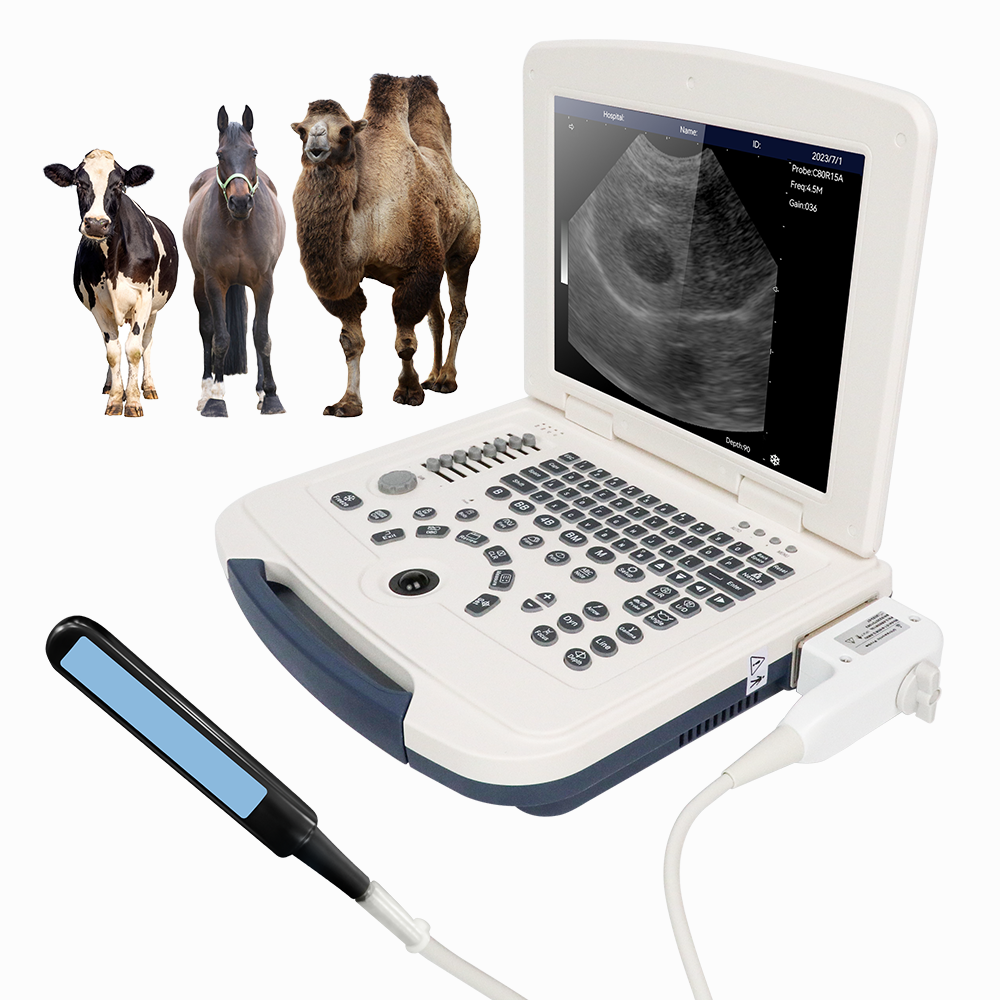 VU10 Veterinary Diagnostic Ultrasound Machine with Transducer for ...