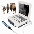 VU10 Laptop Veterinary Ultrasound