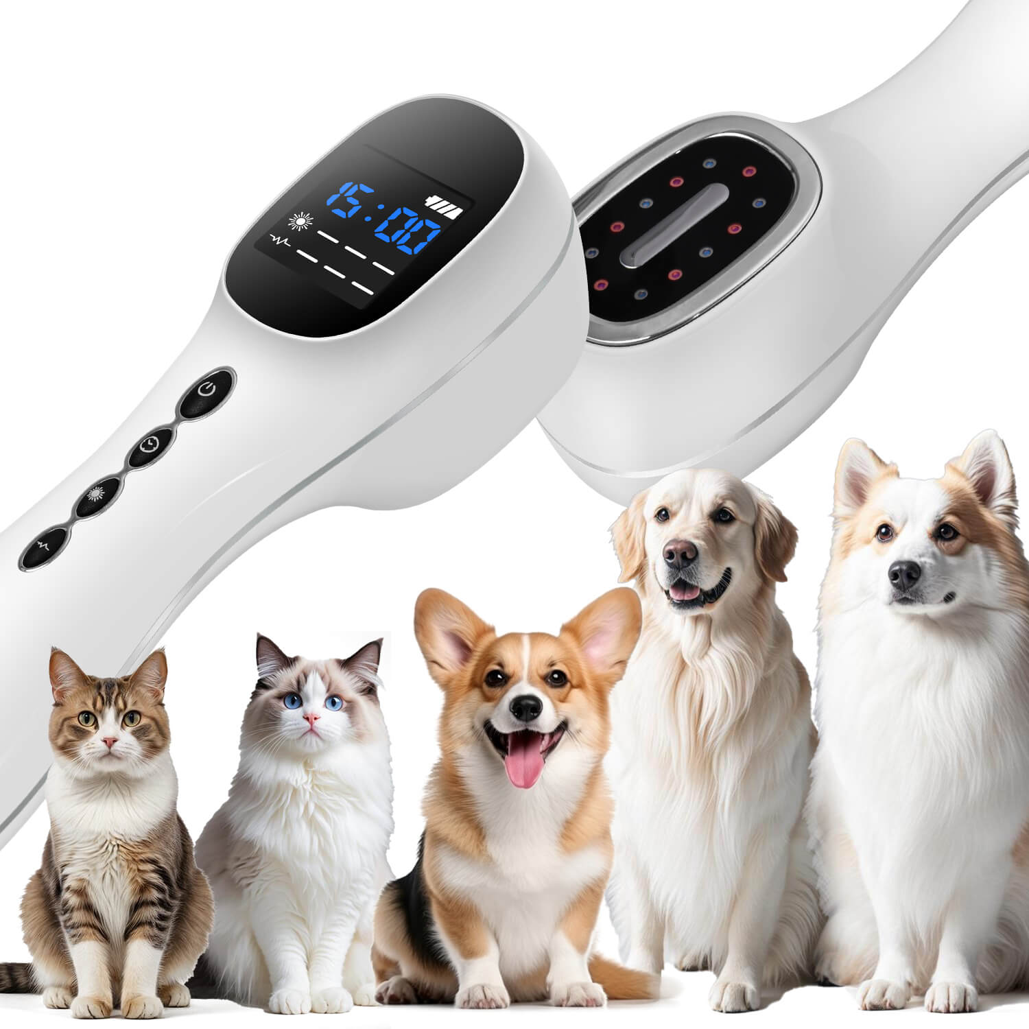 Cold Laser Therapy Device for Dogs and Cats
