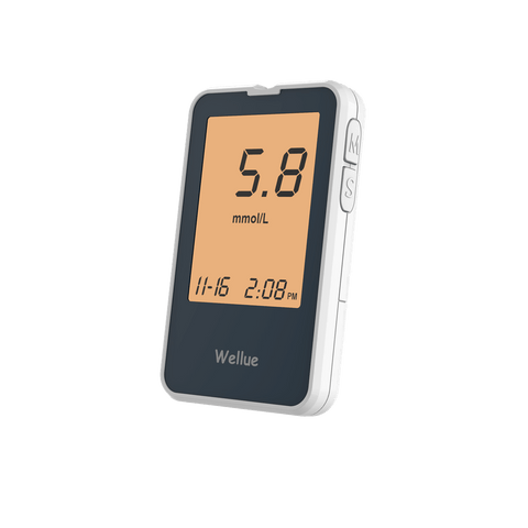 Wellue Blood Glucose Meter